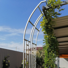 Виноградная арка 