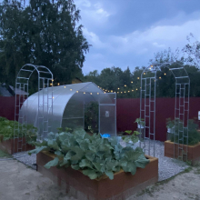 Виноградная арка 