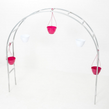 Цветочница малая 